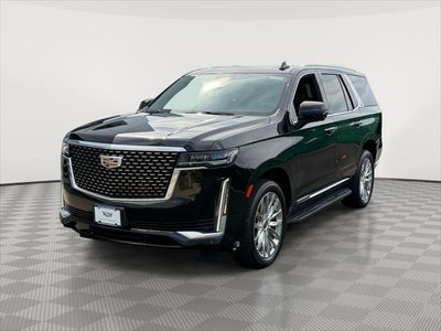 2023 Cadillac Escalade 4WD Premium Luxury